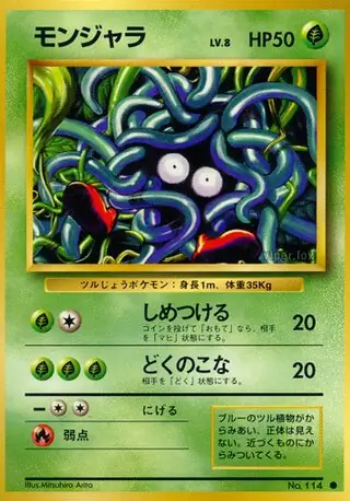 Tangela Pokemon card from Expansion Pack