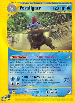 Feraligatr Pokemon card from Expedition