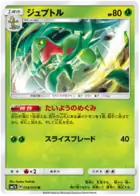 Grovyle Pokemon card from Fairy Rise