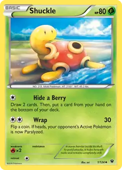 Shuckle Pokemon card from Fates Collide