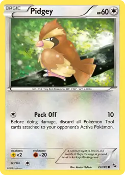 Pidgey Pokemon card from Flashfire