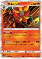 Pyroar Pokemon card from Forbidden Light Japanese