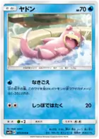 Slowpoke Pokemon card from Full Metal Wall