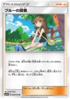 Green's Search Pokemon card from Full Metal Wall
