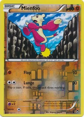 Mienfoo Reverse Holo