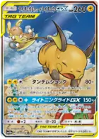 Raichu & Alolan Raichu GX Pokemon card from GG End