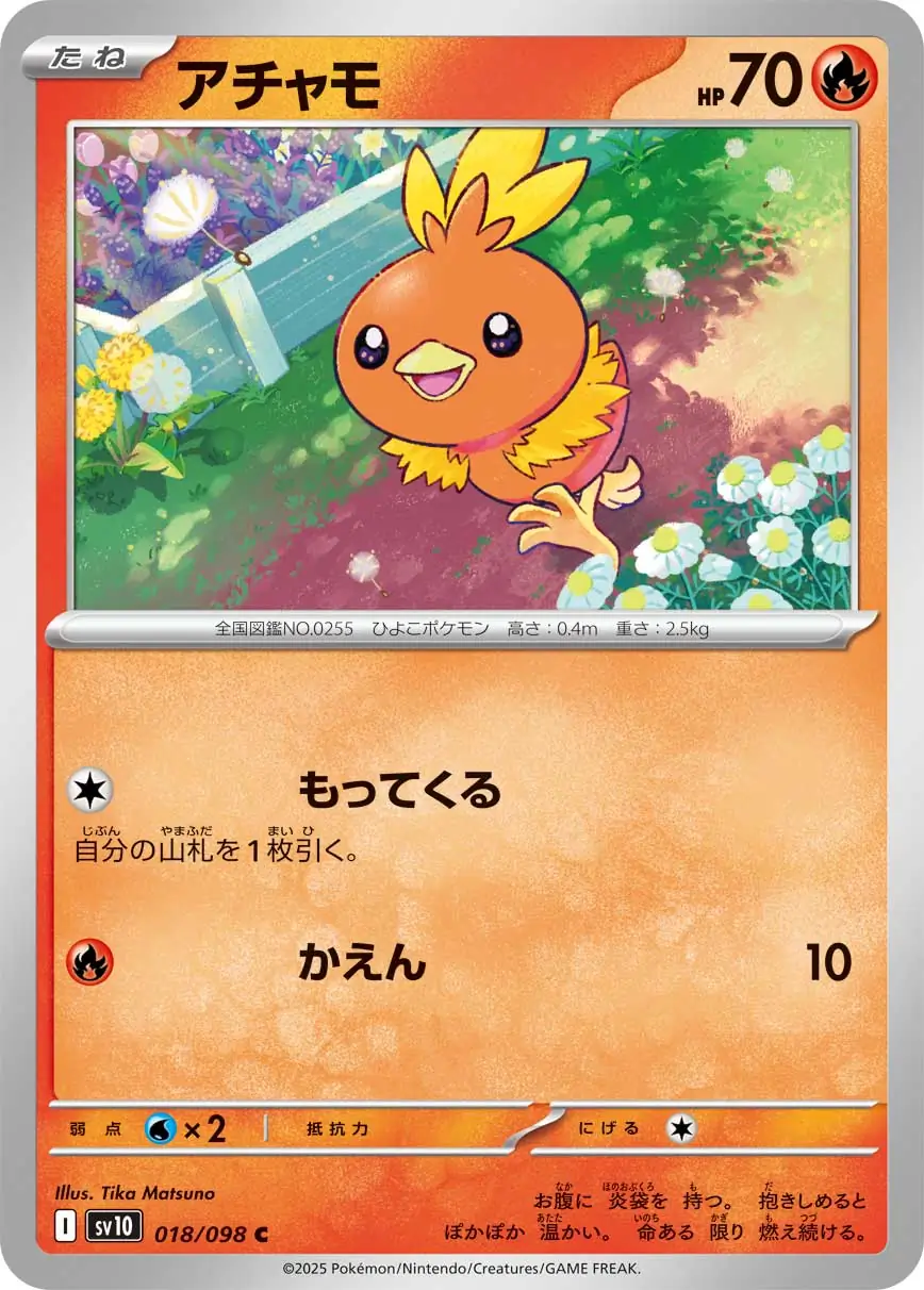 Torchic Pokemon card from Glory of Team Rocket