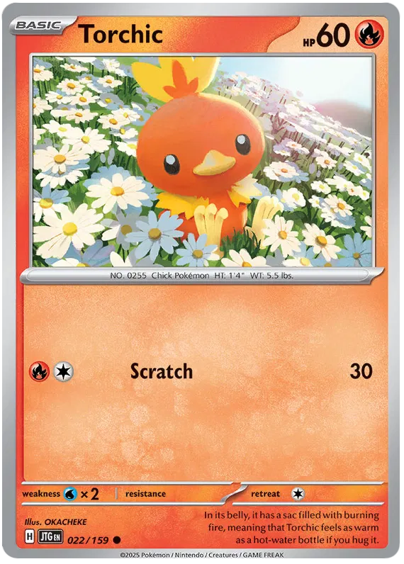 Torchic Pokemon card from Journey Together