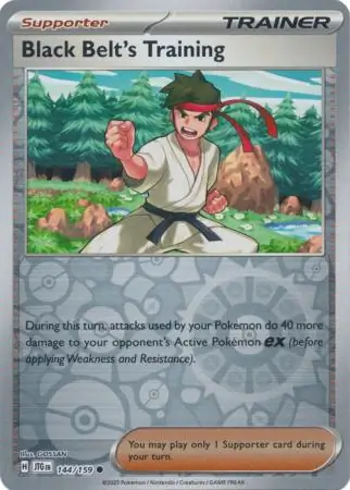 Black Belt's Training Reverse Holo