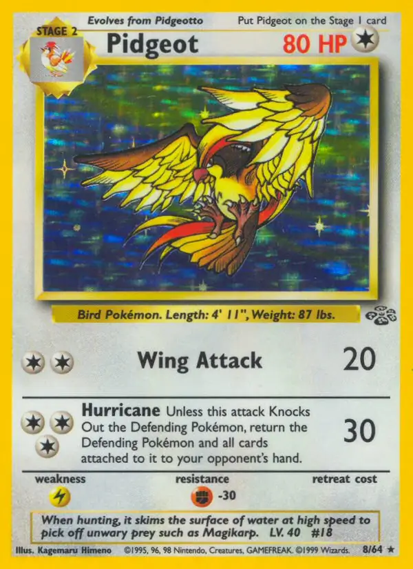 Pidgeot Holo