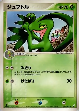 Grovyle Pokemon card from Miracle Crystal