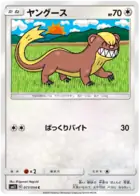 Yungoos Pokemon card from Miracle Twin
