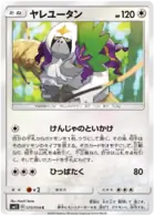 Oranguru Pokemon card from Miracle Twin