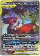 Mega Sableye & Tyranitar GX Pokemon card from Miracle Twin
