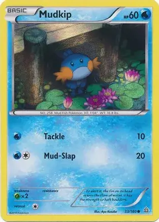 Mudkip Promo Pokemon card from Miscellaneous Promos