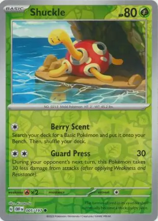 Shuckle Reverse Holo Pokemon card from Obsidian Flames
