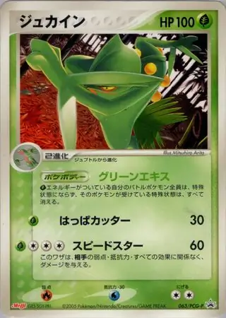 Sceptile Pokemon card from PCG-P Promos