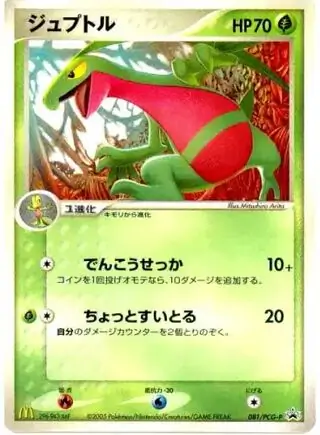 Grovyle Pokemon card from PCG-P Promos