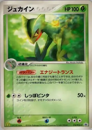 Sceptile Pokemon card from PCG-P Promos