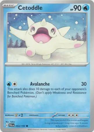 Cetoddle Pokemon card from Paldea Evolved