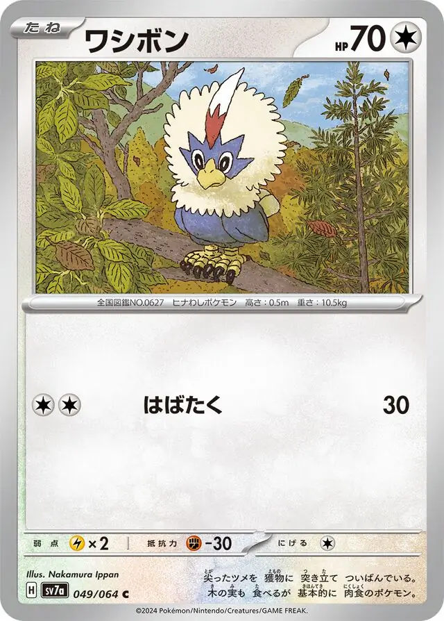 Rufflet Pokemon card from Paradise Dragona