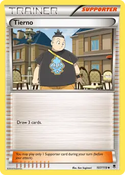 Tierno Pokemon card from Phantom Forces