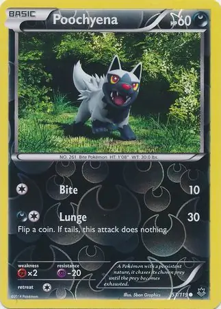 Poochyena Reverse Holo Pokemon card from Phantom Forces