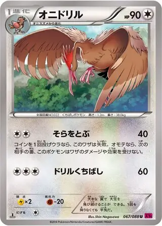 Fearow Pokemon card from Phantom Gate