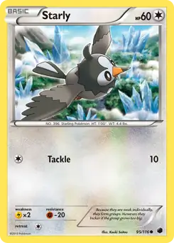 Starly Pokemon card from Plasma Freeze