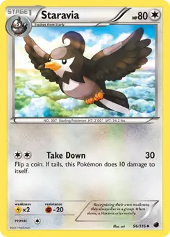 Staravia Pokemon card from Plasma Freeze