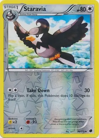 Staravia Reverse Holo Pokemon card from Plasma Freeze