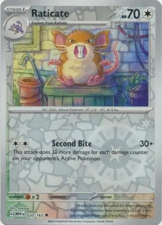 Raticate Reverse Holo Pokemon card from Pokemon Card 151