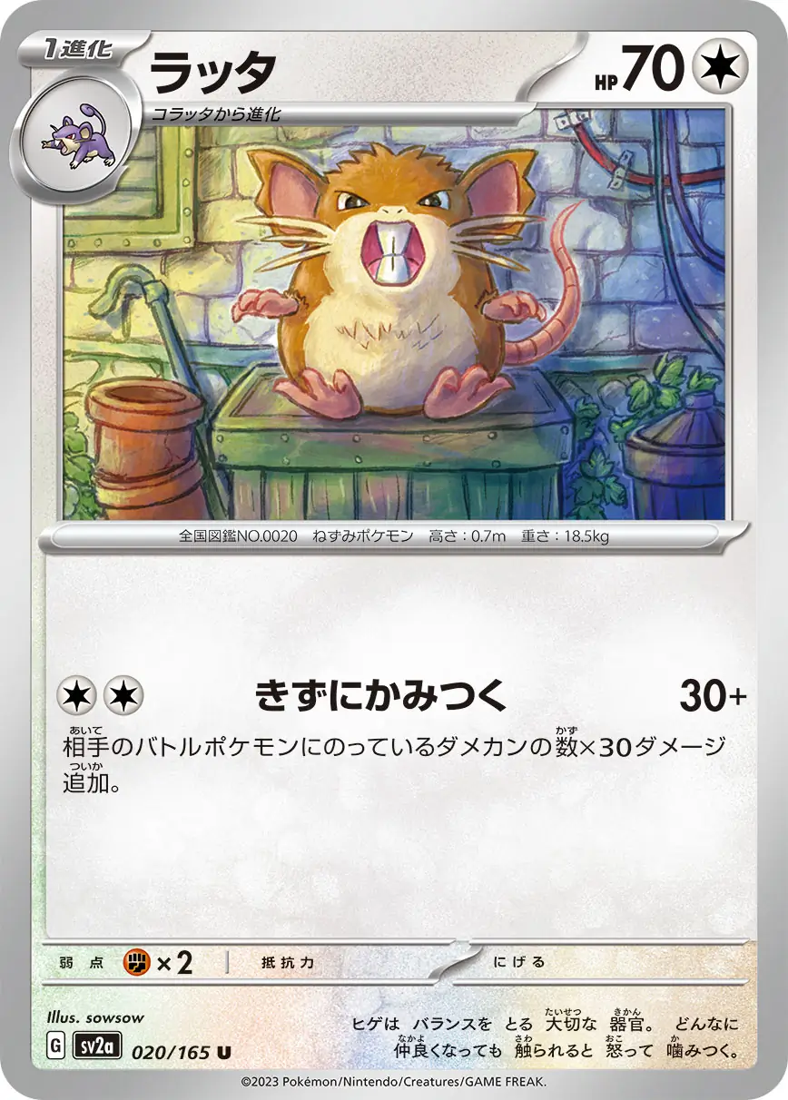 Raticate Pokemon card from Pokemon Card 151 Japanese