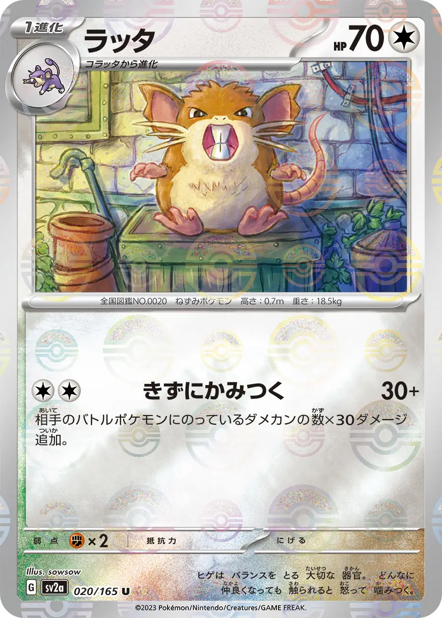 Raticate Reverse Holo Pokemon card from Pokemon Card 151 Japanese