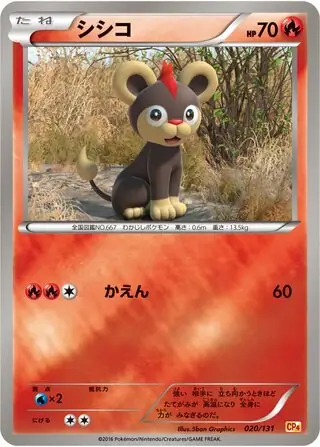 Litleo Pokemon card from Premium Champion Pack