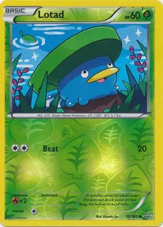 Lotad Reverse Holo