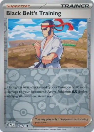 Black Belt's Training Reverse Holo