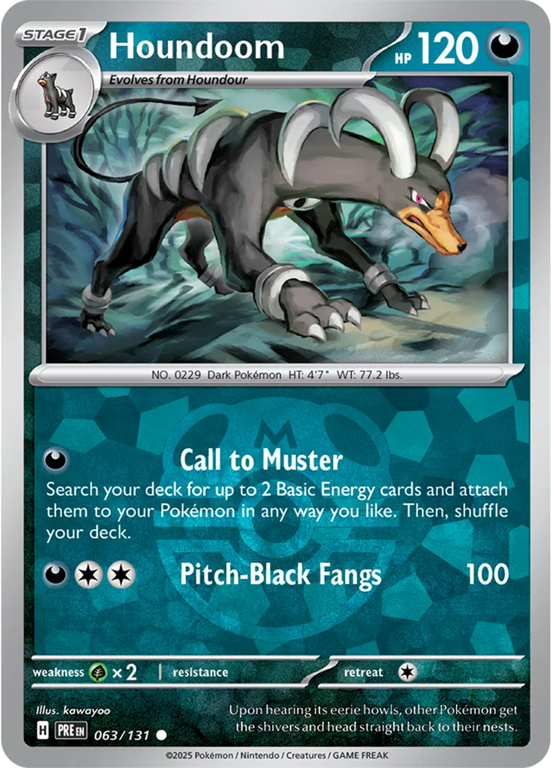 Houndoom Master Ball Holo