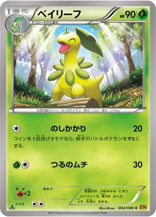 Bayleef Pokemon card from Rage of the Broken Heavens