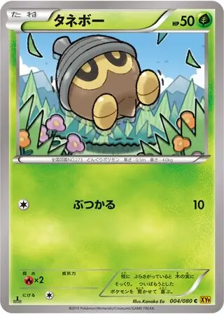 Seedot Pokemon card from Rage of the Broken Heavens