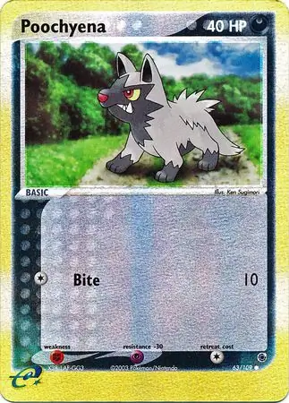 Poochyena Reverse Holo
