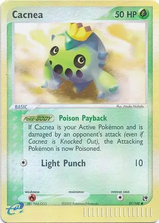 Cacnea Reverse Holo