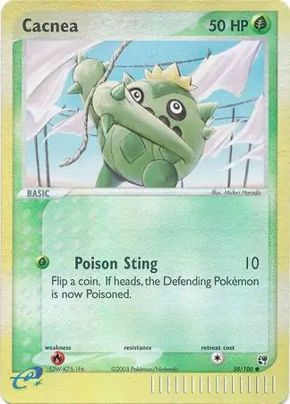Cacnea Reverse Holo