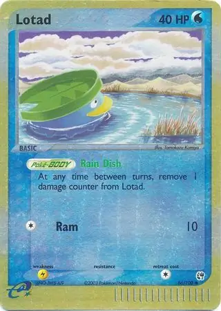 Lotad Reverse Holo