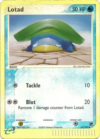 Lotad Reverse Holo