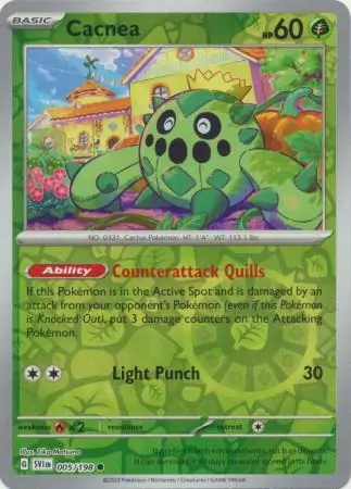 Cacnea Reverse Holo