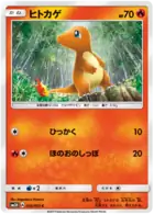 Charmander Pokemon card from Seen the Rainbow Battle