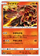 Heatmor Pokemon card from Seen the Rainbow Battle