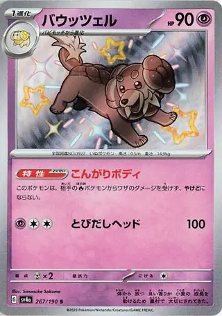 Dachsbun Pokemon card from Shiny Treasure ex