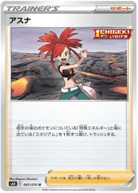 Flannery Pokemon card from Silver Lance